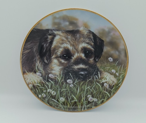 Danbury mint clover border - danbury, in
