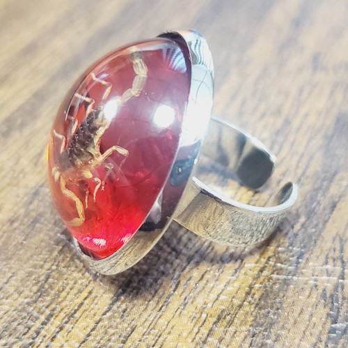Scorpion ring amber resin - scorpion,