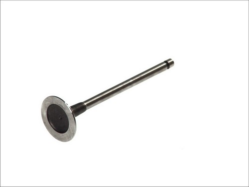 Intake valve 6147 s fits - s,