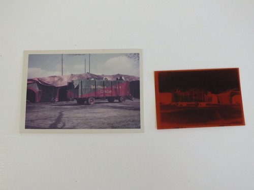 Bertram mills circus frankwell - circus,