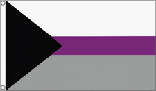 Demisexual Pride Polyester