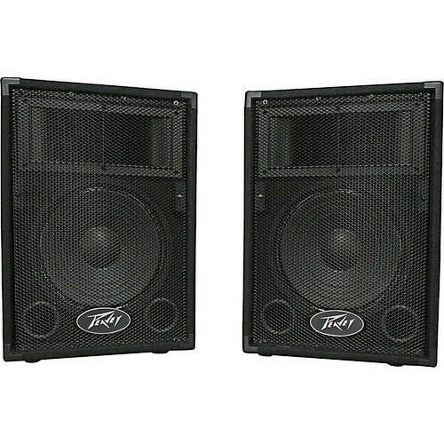 Peavey pvi10 two 100 - 10",
