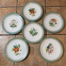 6 Royal Worcester? Botanical Antique Dessert China Plates In Green and Gold