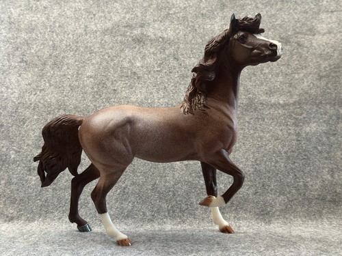 Breyer 2026 custom - 2026,