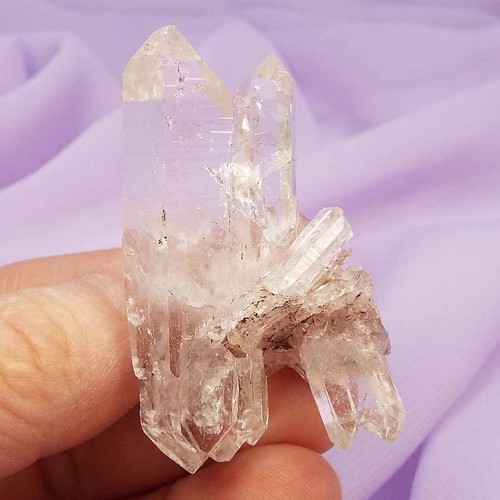 New find pink colombian - find!,