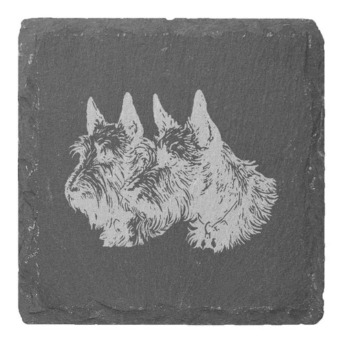 Scottish terrier couple - terrier, couple'