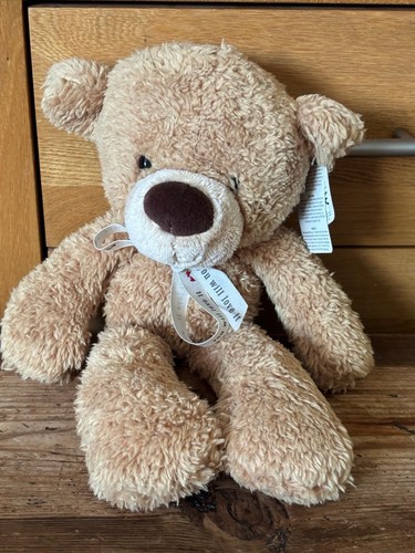 Bnwt gund fuzzy teddy bear - bnwt,