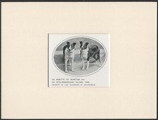 SMOOTH COLLIE NAMED DOGS OLD