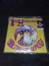 Jimi Hendrix Are You