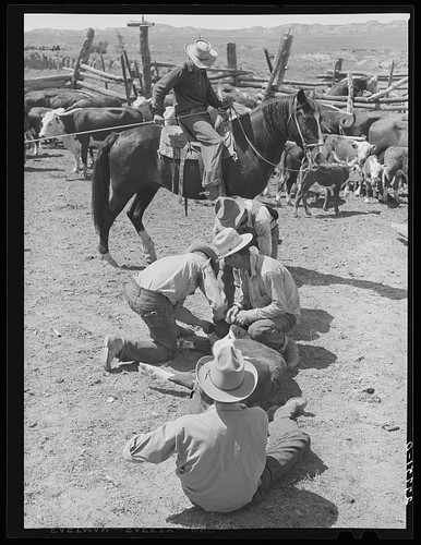 Custer county montana 1939 - custer,