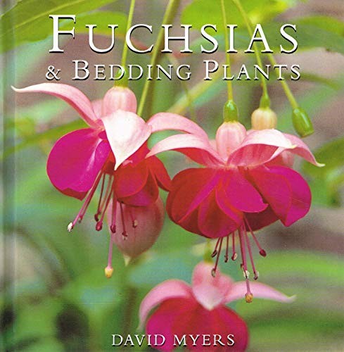 Fuchsias and bedding - fuchsias,
