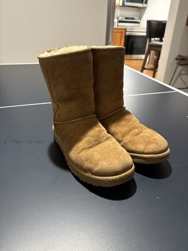 Ugg classic short chestnut - short,