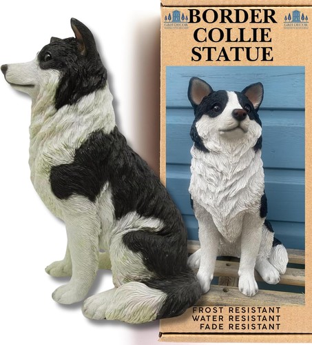Border collie ornament dog - collie,