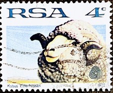 1972 South Africa Stamp x 1 -