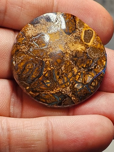 67cts queensland boulder - 67cts,