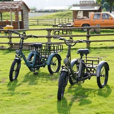 FAFREES F20 MATE 20 inch