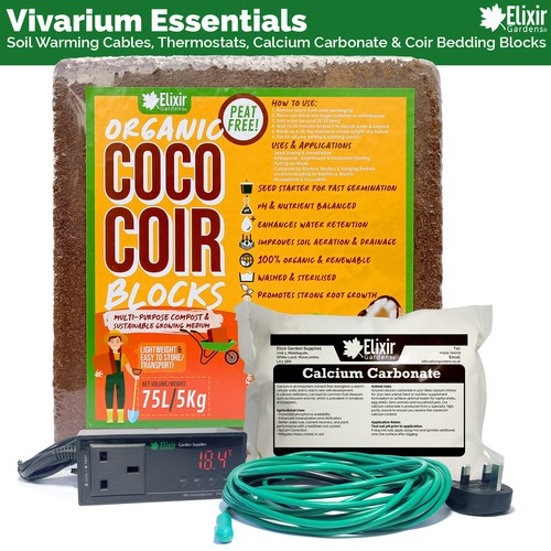 Vivarium terrarium basics - terrarium,