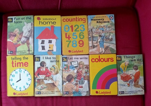 Original vintage ladybird - original,