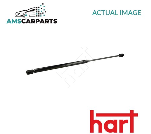 Tailgate boot strut rear - boot,