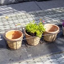 Set Of 3 Aged Terracotta Pots