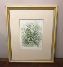 Mary Ann Rogers  Limited