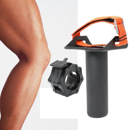 Tibialis calf raise - tibialis,