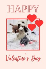 Stuffed squeaky donkey pet - , dog