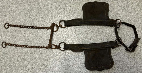 Antique horse driving bridle - antique,