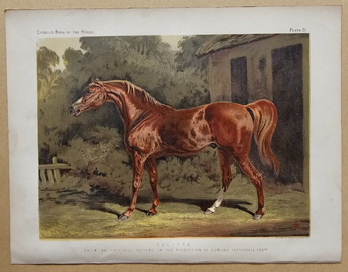 1876 antique book the - of,