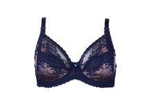 Charnos Bridgette Underwired Full Cup Bra or Brief Ink/Rose Gold 32-38 B-J