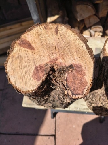 Rare spalted hawthorne - rare, wirral