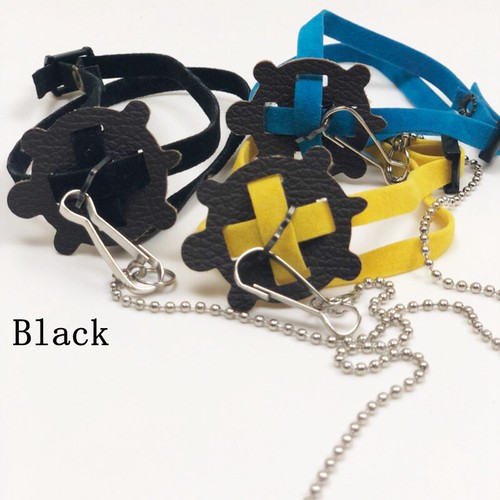 Pet tortoise turtle leather - tortoise,