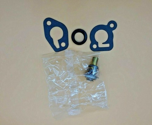Thermostat for mercury - thermostat,