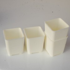 10 x 3cm Plant Pot with drain holes, Mini Succulent pot, 3cm Plastic Plant Pot