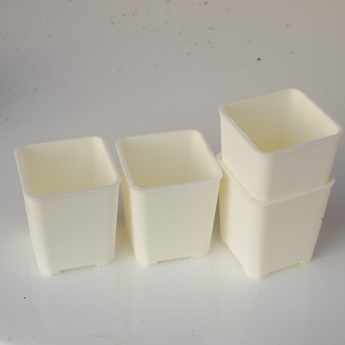3cm plant pot with drain - plant,