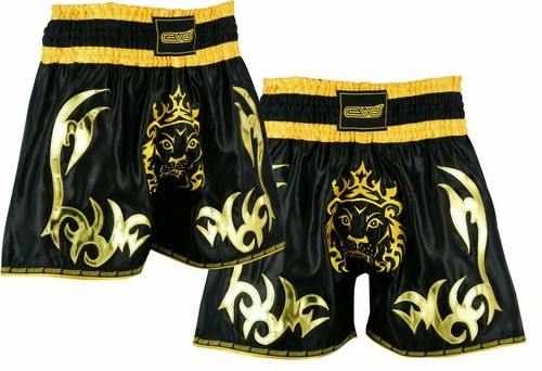 Evo muay thai - shorts, mma