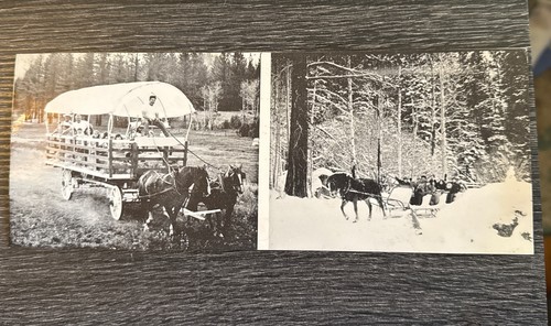 Pony express postcard amacker - pony,