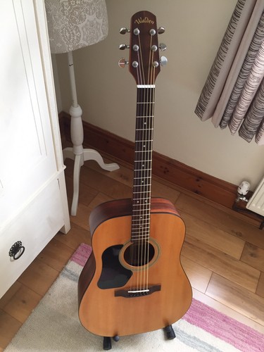 Walden left handed acoustic - walden,