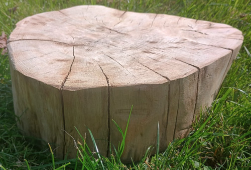 Log slice centerpiece cake