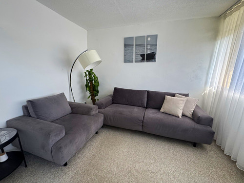 Contemporary modern grey suede - grey,