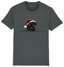 ROTTWEILER Christmas Dog T-Shirt Mens Womens Kids Dogs Gift Clothing Doggy Puppy
