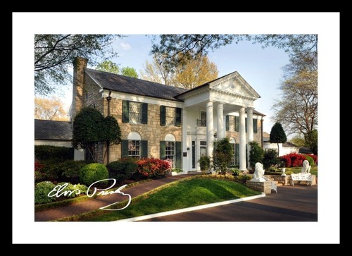 Elvis presley graceland - elvis,