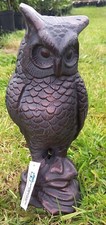 Long Eared Owl - Large Cast