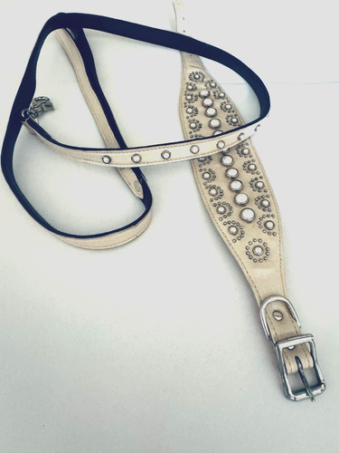 Pearly beige greyhound - pearly,