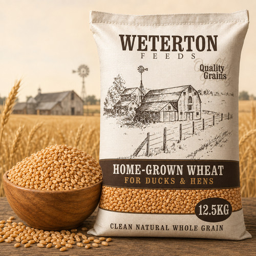 5kg home grown wheat feed - home-grown,