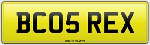 Rexy rex number plate - number,