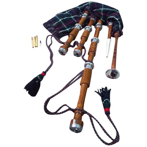 Scottish great highland - scottish,