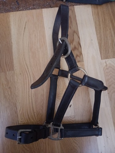 Leather headcollar brown - leather, headcollar.