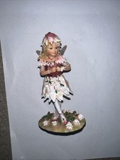 The Leonardo Collection 