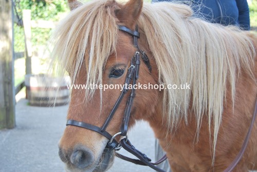 Miniature shetland bridle - miniature,